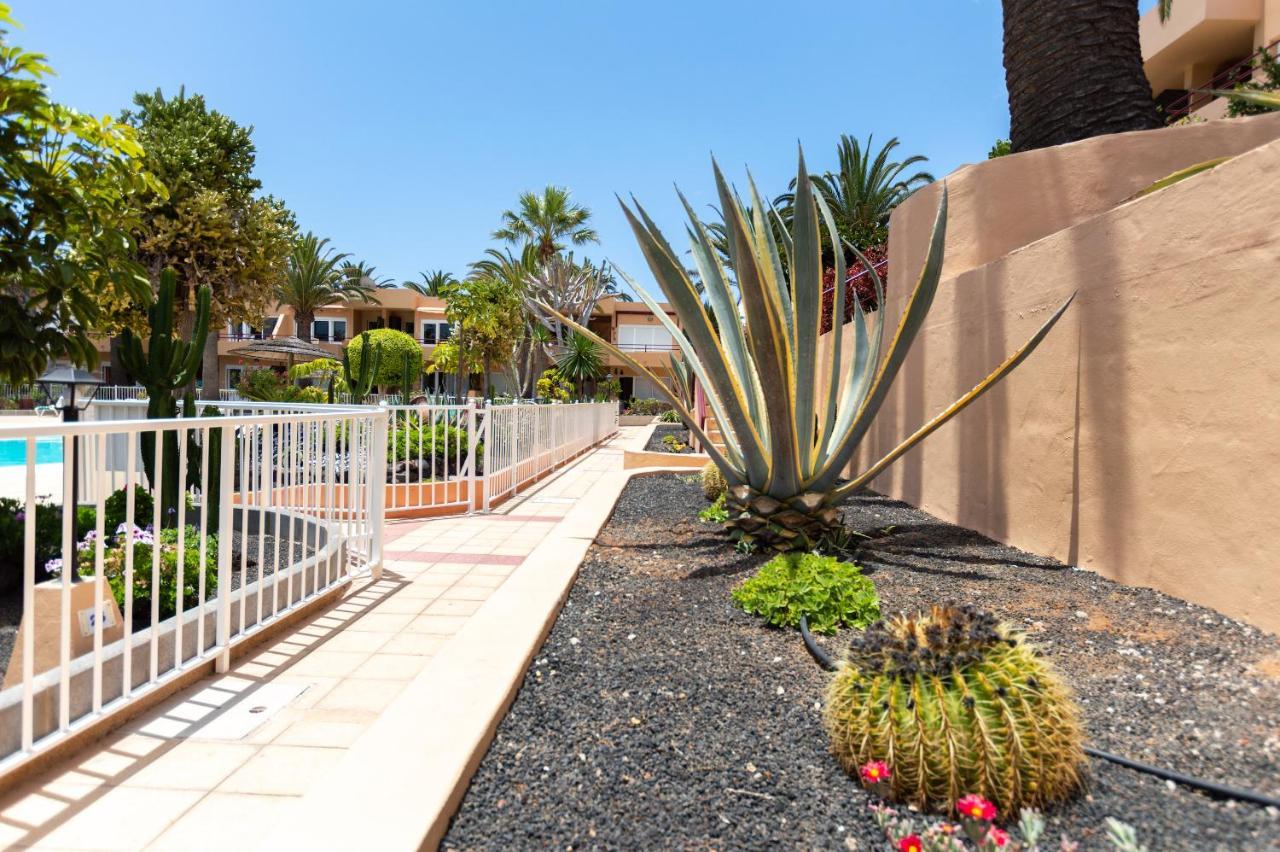 Beach Corralejo Ngoại thất bức ảnh